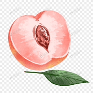 香蕉视频免费APPAPP应用